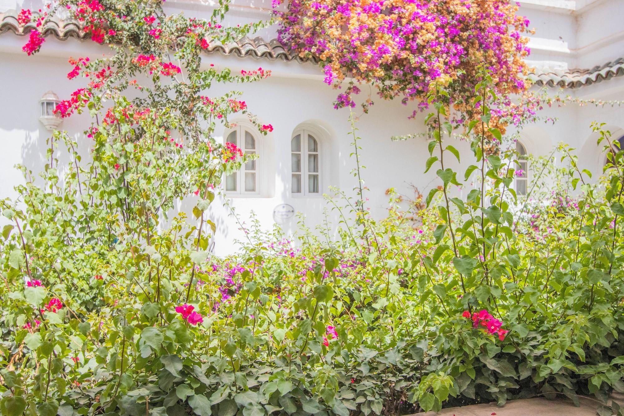 Готель Riad Palais Des Princesses & Spa Марракеш Екстер'єр фото A garden in Morocco